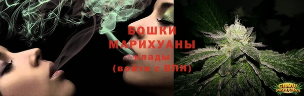 сатива Арсеньев