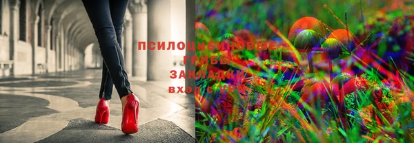mdpv Алзамай