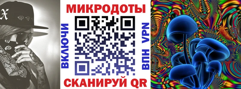 где купить наркотик  Алексеевка  Галлюциногенные грибы мухоморы 