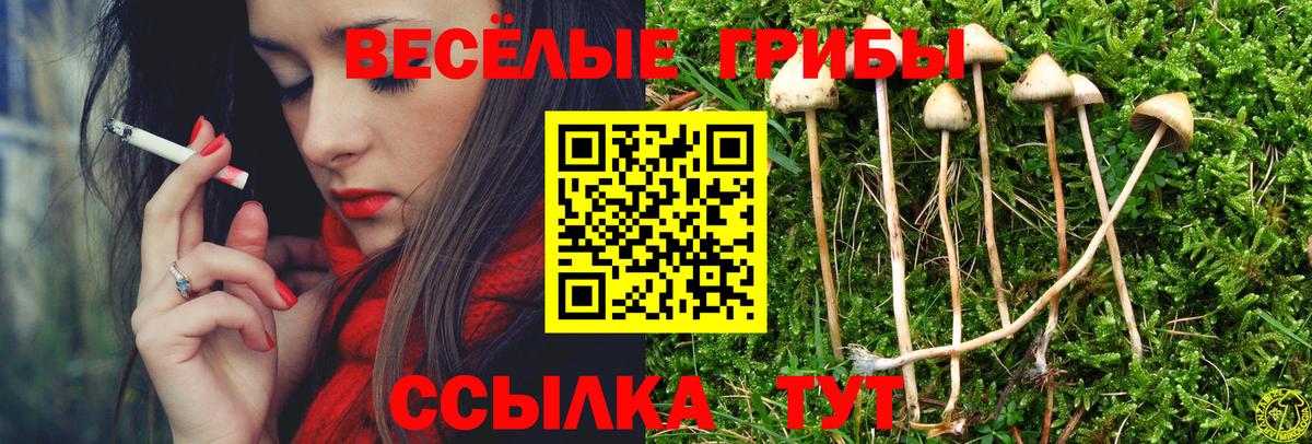 Галлюциногенные грибы Psilocybine cubensis Алексеевка