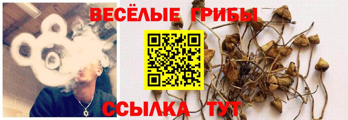 ГАШИШ  Каннабис  Лсд 25  Алексеевка  НБОМе  Вход с VPN  Cocaine  Каннабис  Меф  АМФЕТАМИН 