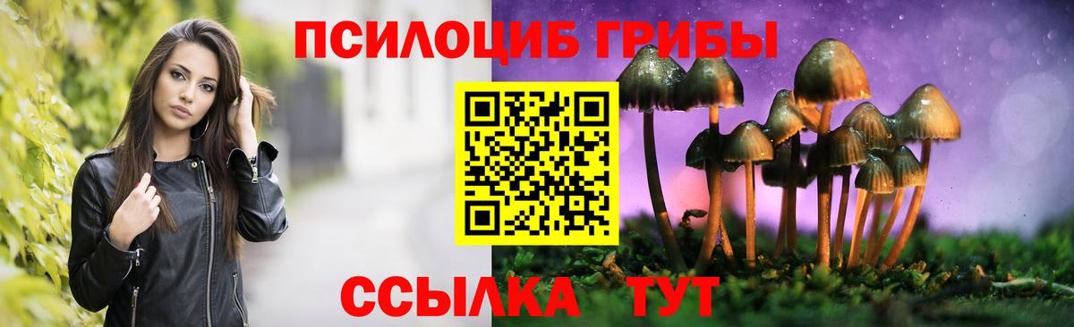 Галлюциногенные грибы MAGIC MUSHROOMS  Вход с VPN  Алексеевка  Псилоцибиновые грибы Psilocybine cubensis 